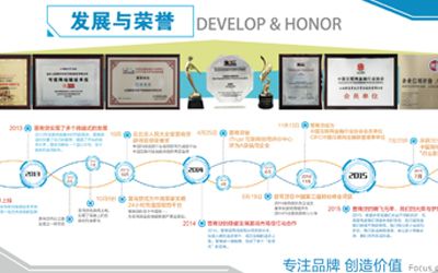 企業(yè)榮譽/成就